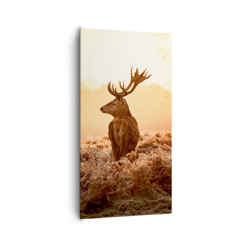 Impression sur toile - Image sur toile - Seigneur du domaine - 65x120 cm