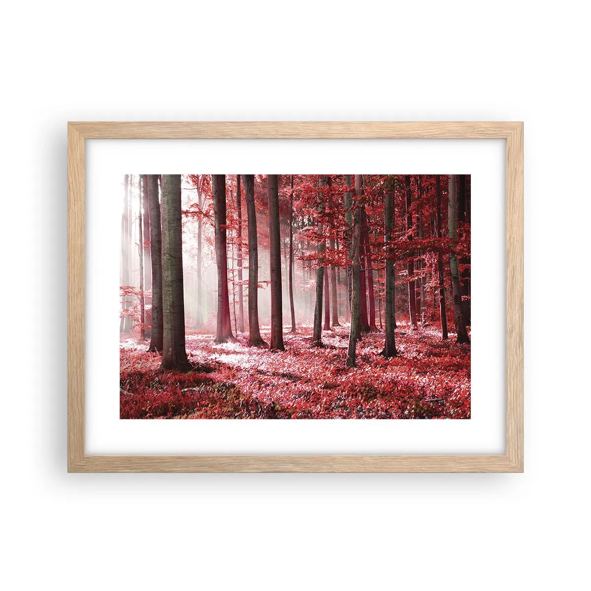 Affiche dans un chêne clair - Poster - Le rouge est tout aussi beau - 40x30 cm