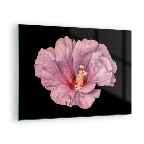 Impression sur verre - Image sur verre - Gros plan d'une fleur d'hibiscus rose sur fond noir - 70x50cm - Directement au coeur - Décoration murale moderne pour le salon et la chambre ARTTOR