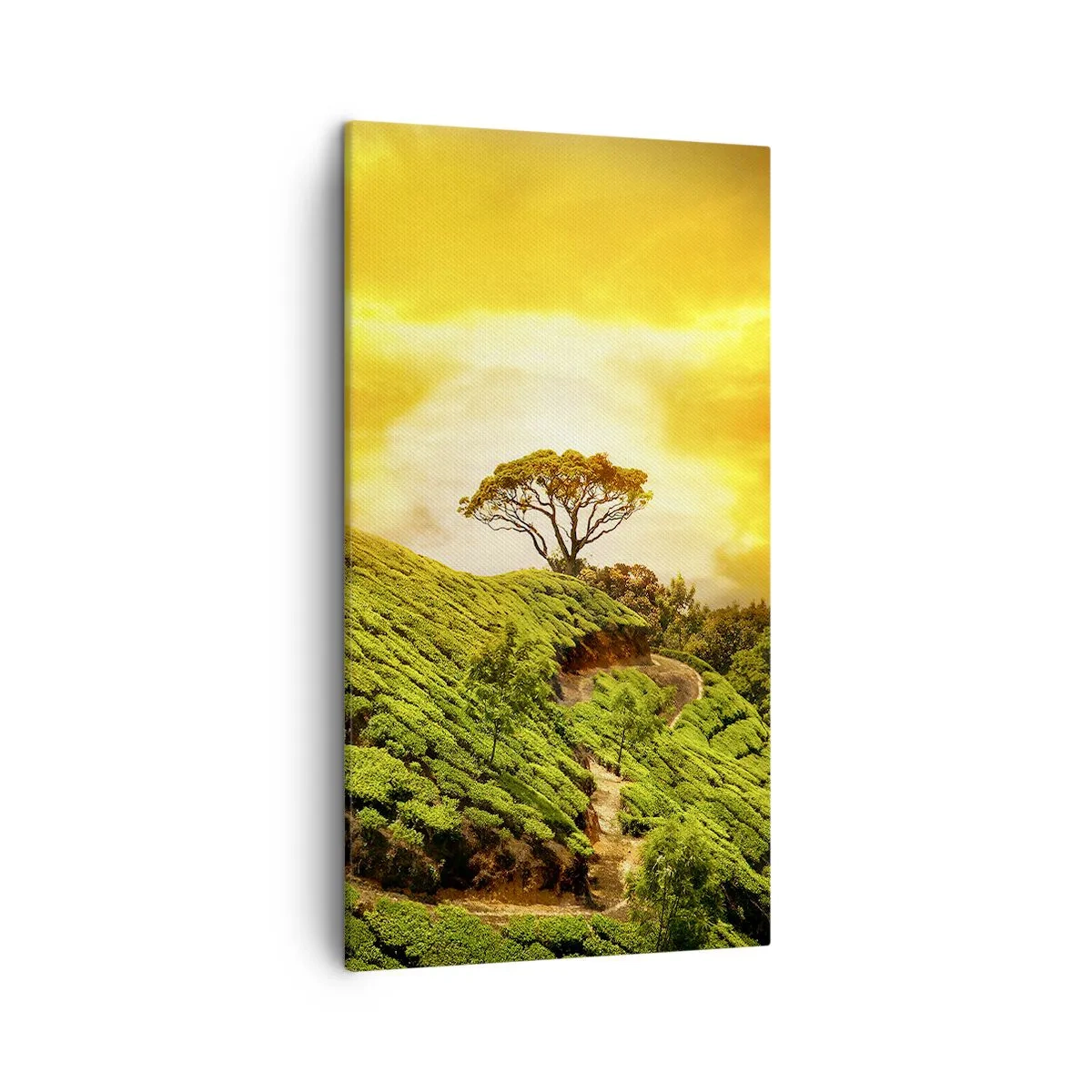 Impression sur toile - Image sur toile - Un chemin sinueux, une pente verte - 45x80 cm