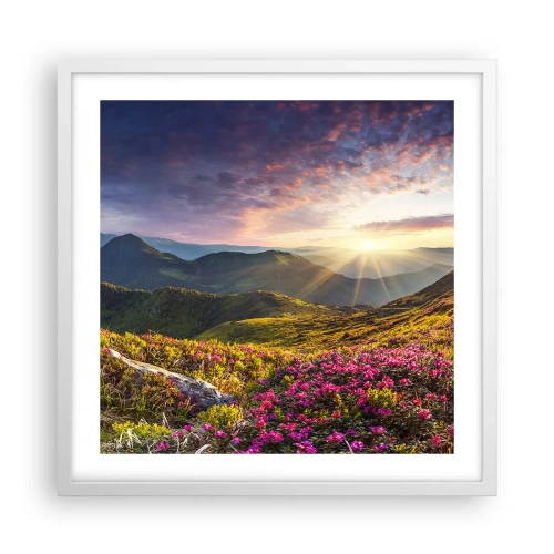 Affiche dans un cadre blanc - Poster - Fraîcheur matinale en montagne - 50x50 cm