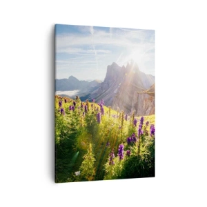 Impression sur toile - Image sur toile - Paysage de montagne avec des fleurs à la lumière du soleil levant - 50x70cm - La vie secrète des herbes - Décoration murale moderne pour le salon et la chambre ARTTOR