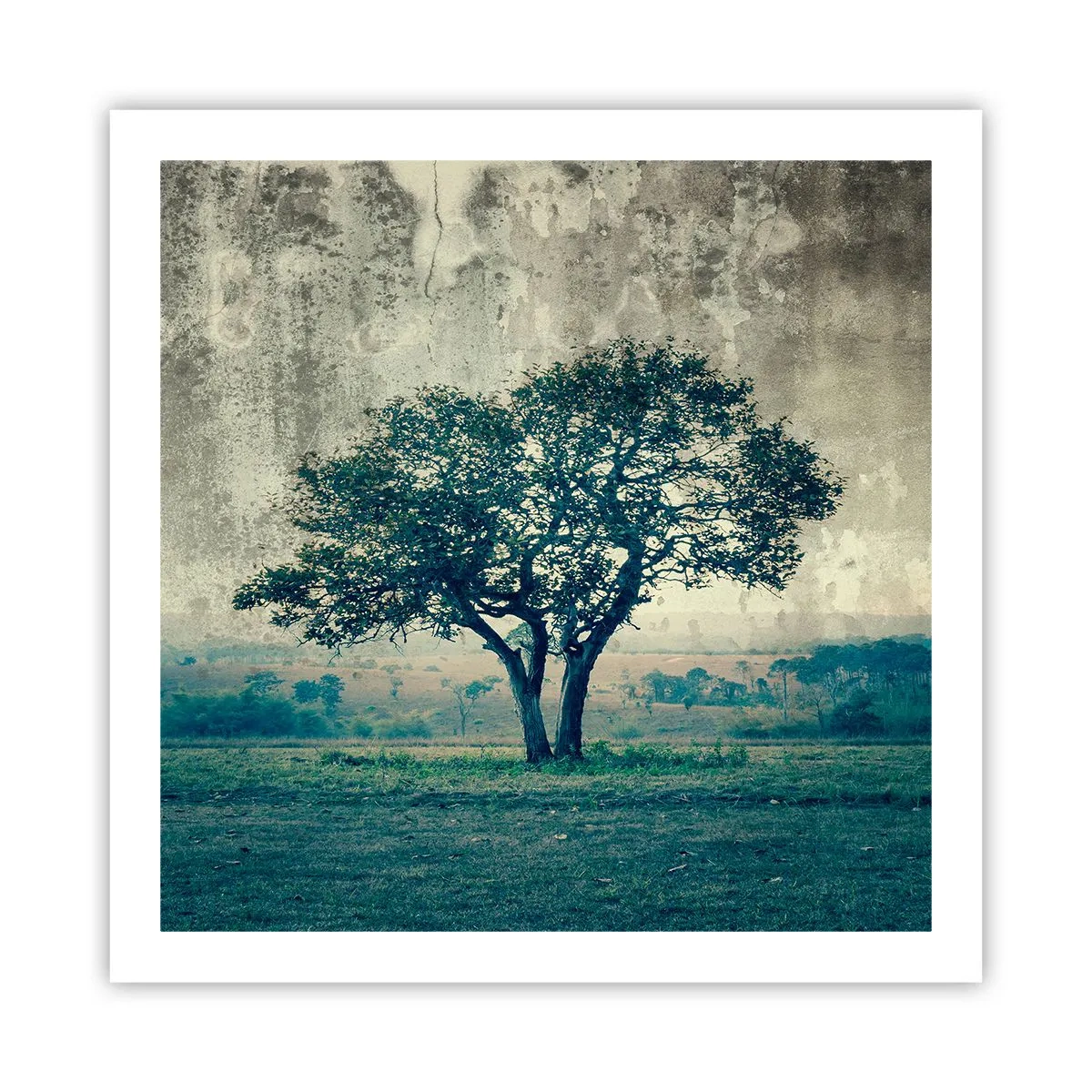 Affiche - Poster - Un pommier sur un champ bleu ? - 60x60 cm