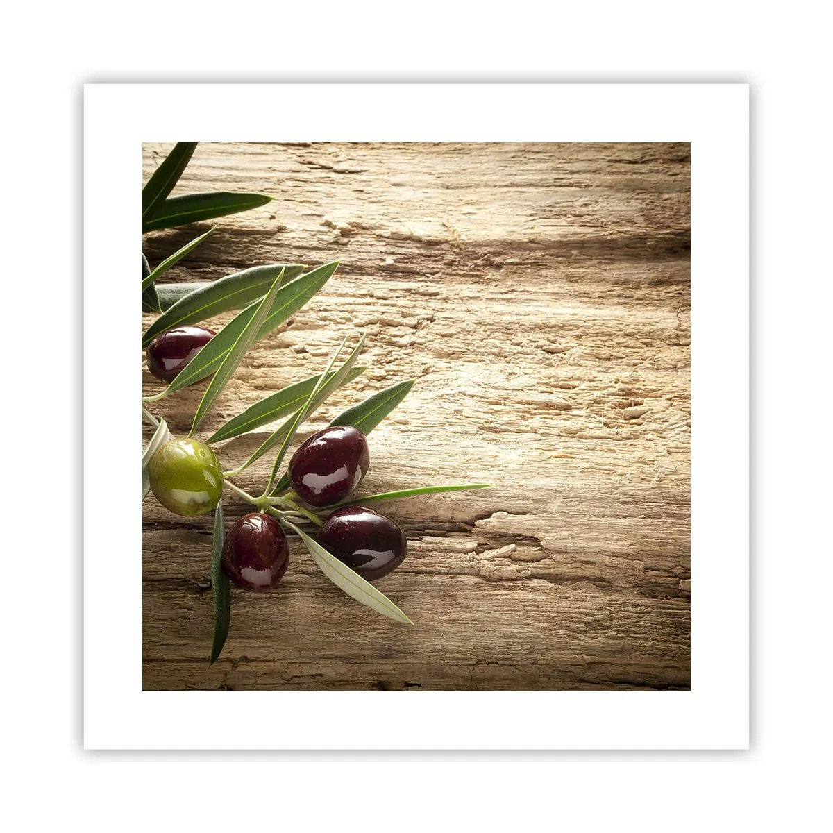 Affiche - Poster - Directement de la nature - 40x40 cm