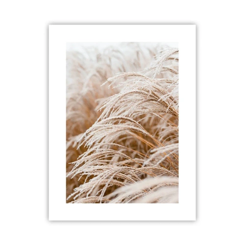 Affiche - Poster - Prosternez-vous devant le soleil d'automne - 30x40 cm