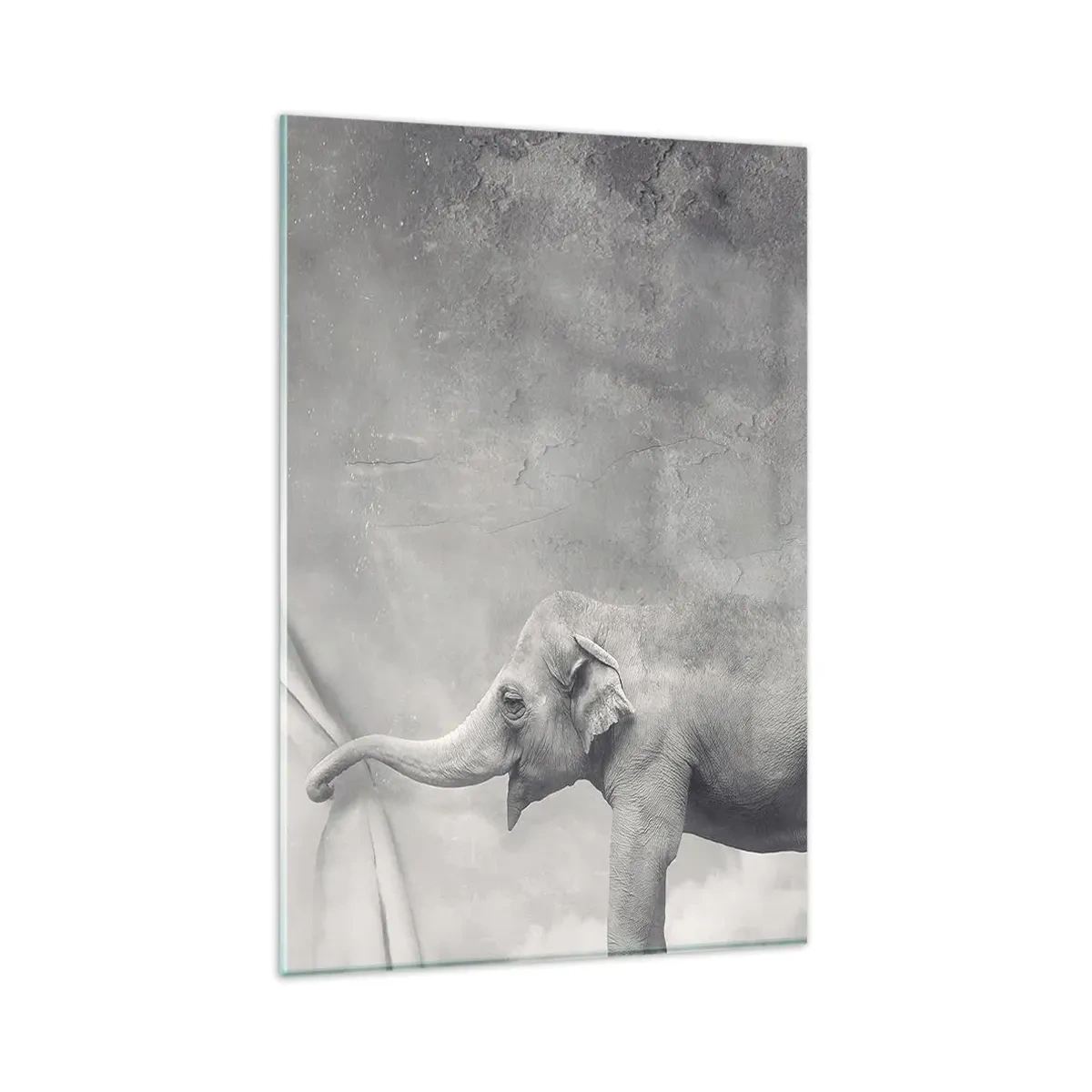 Impression sur verre - Image sur verre - Un éléphant tire le rideau dans une photo surréaliste en noir et blanc - 80x120cm - Révéler le mystère - Décoration murale moderne pour le salon et la chambre ARTTOR