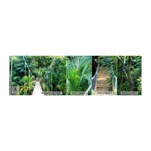 Échantillon De Papier Peint Standard Eco - Welcome to the jungle! - Paysage, Jungle, Honduras - 100x30 cm