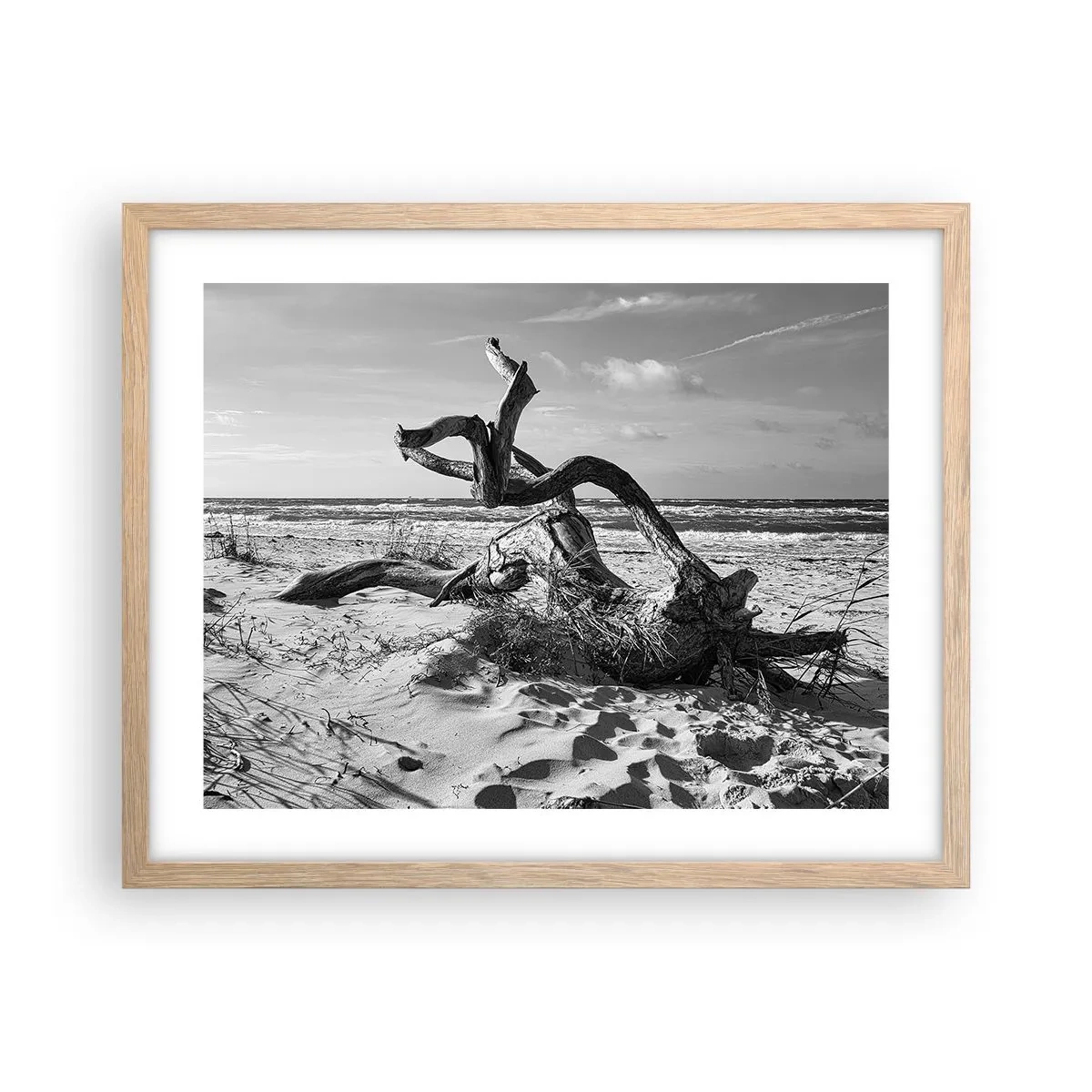 Affiche dans un chêne clair - Poster - Sculpture marine - 50x40 cm