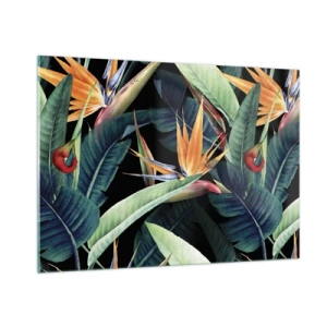 Impression sur verre - Image sur verre - Fleurs de Strelitzia et feuilles tropicales sur fond noir - 100x70cm - Fleurs flamboyantes des tropiques - Décoration murale moderne pour le salon et la chambre ARTTOR