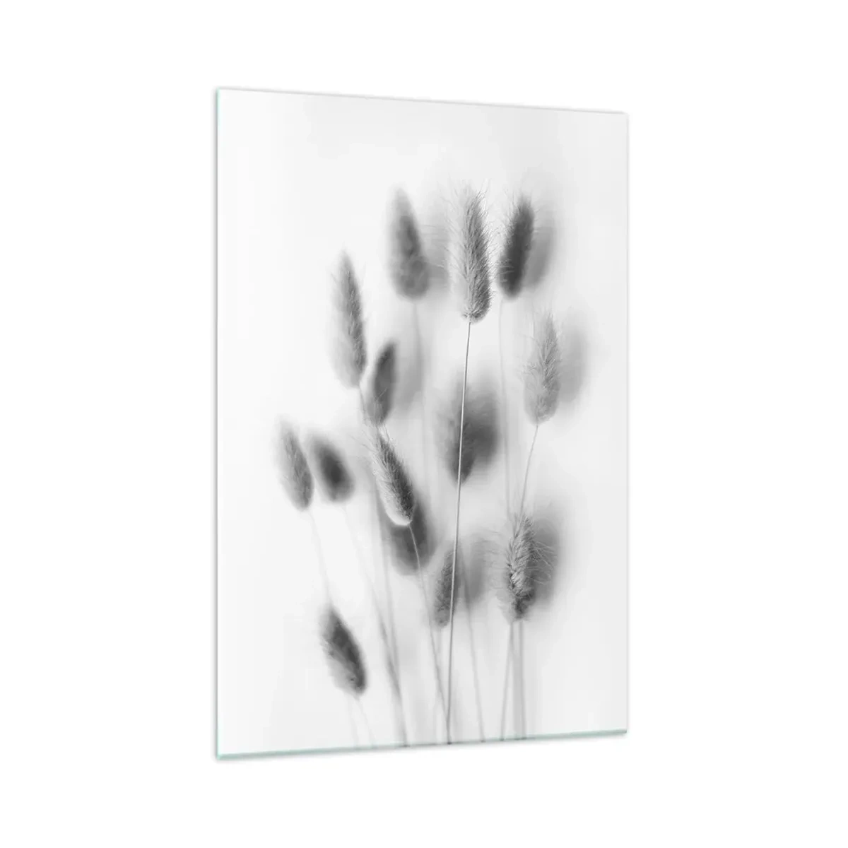Impression sur verre - Image sur verre - Graminées délicates dans des tons de gris sur fond blanc - 70x100cm - Son herbe duveteuse - Décoration murale moderne pour le salon et la chambre ARTTOR
