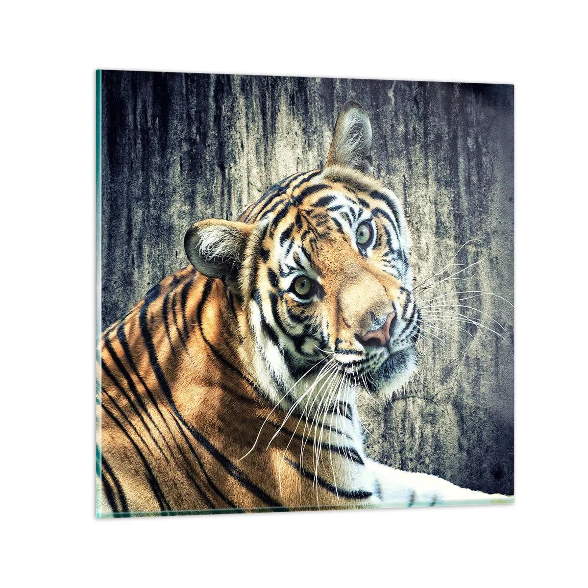 Impression sur verre - Image sur verre - Portrait dans les flots de lumière - 60x60 cm