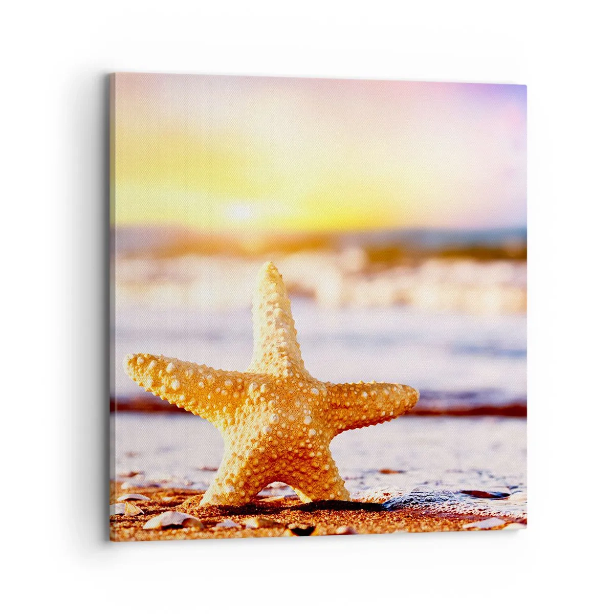 Impression sur toile - Image sur toile - Cadeau de la mer - 70x70 cm