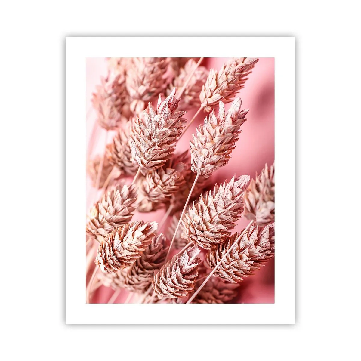 Affiche - Poster - Une cascade florale en rose - 40x50 cm