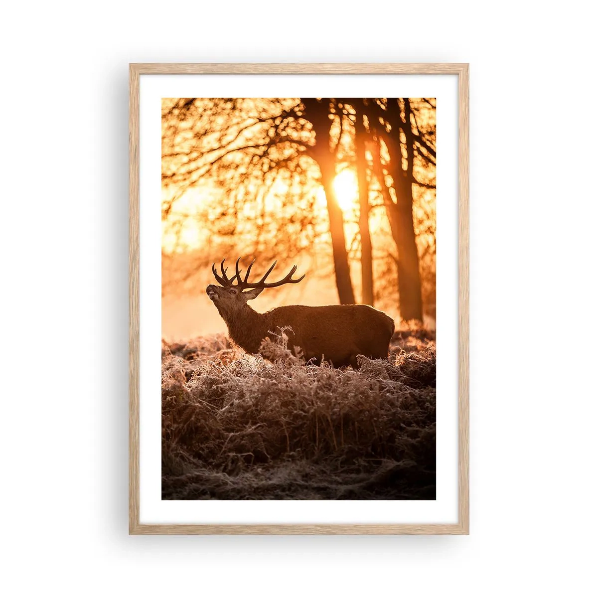 Affiche dans un chêne clair - Poster - Le rêve d'un chasseur - 50x70 cm