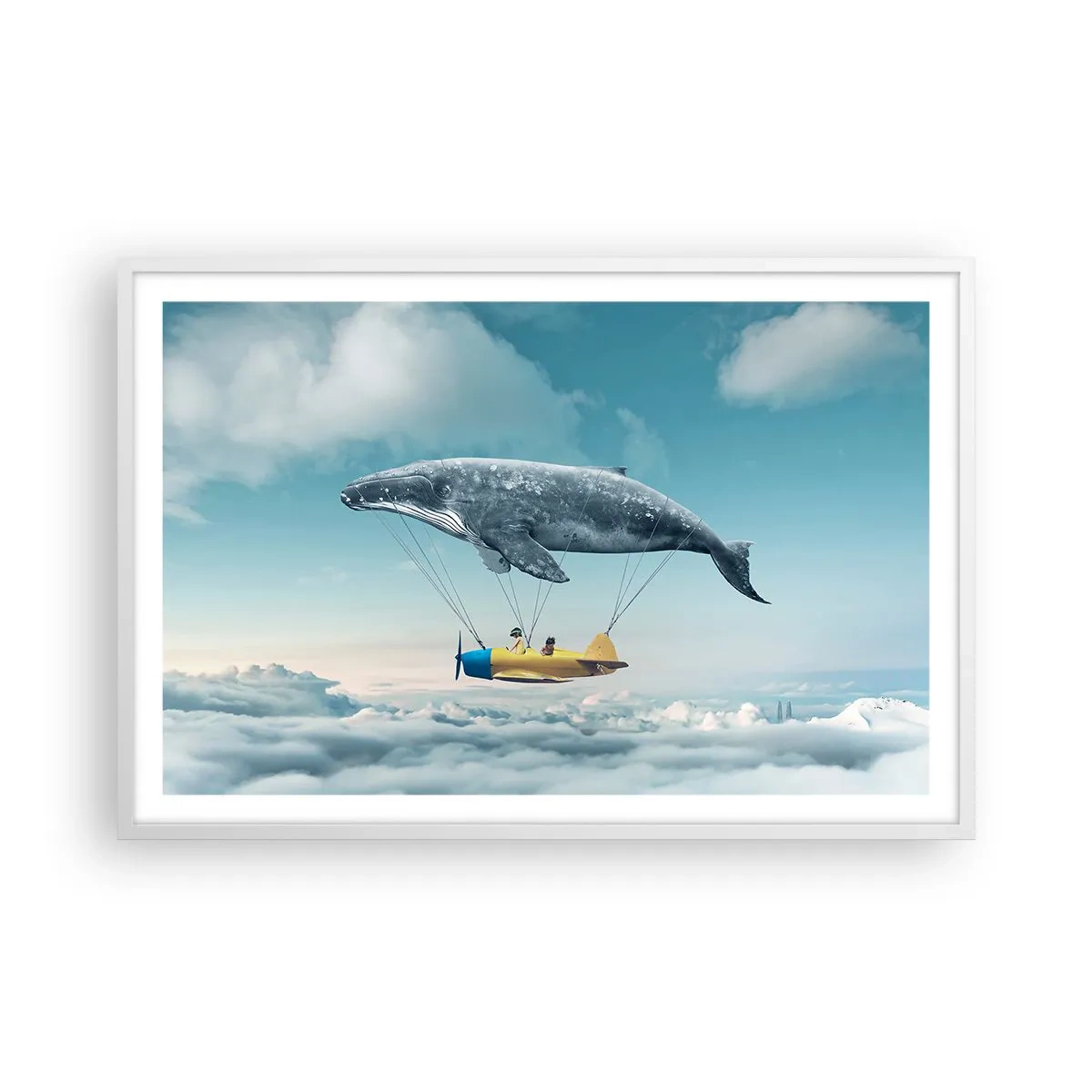 Affiche dans un cadre blanc - Poster - Pourquoi pas? - 91x61 cm