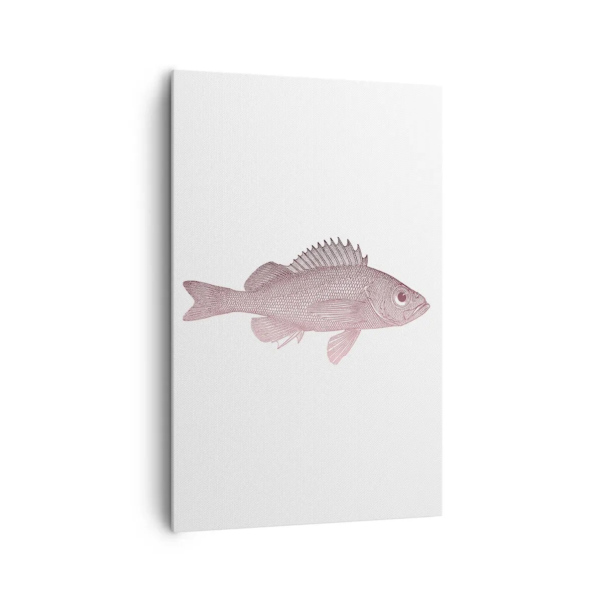 Impression sur toile - Image sur toile - Illustration détaillée d'un poisson sur fond blanc - 80x120cm - Poisson aux grands yeux - Décoration murale moderne pour le salon et la chambre ARTTOR