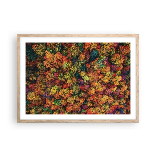 Affiche dans un chêne clair - Poster - Bouquet d'arbres automnal - 70x50 cm