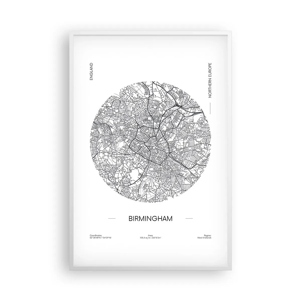 Affiche dans un cadre blanc - Poster - Anatomie de Birmingham - 61x91 cm