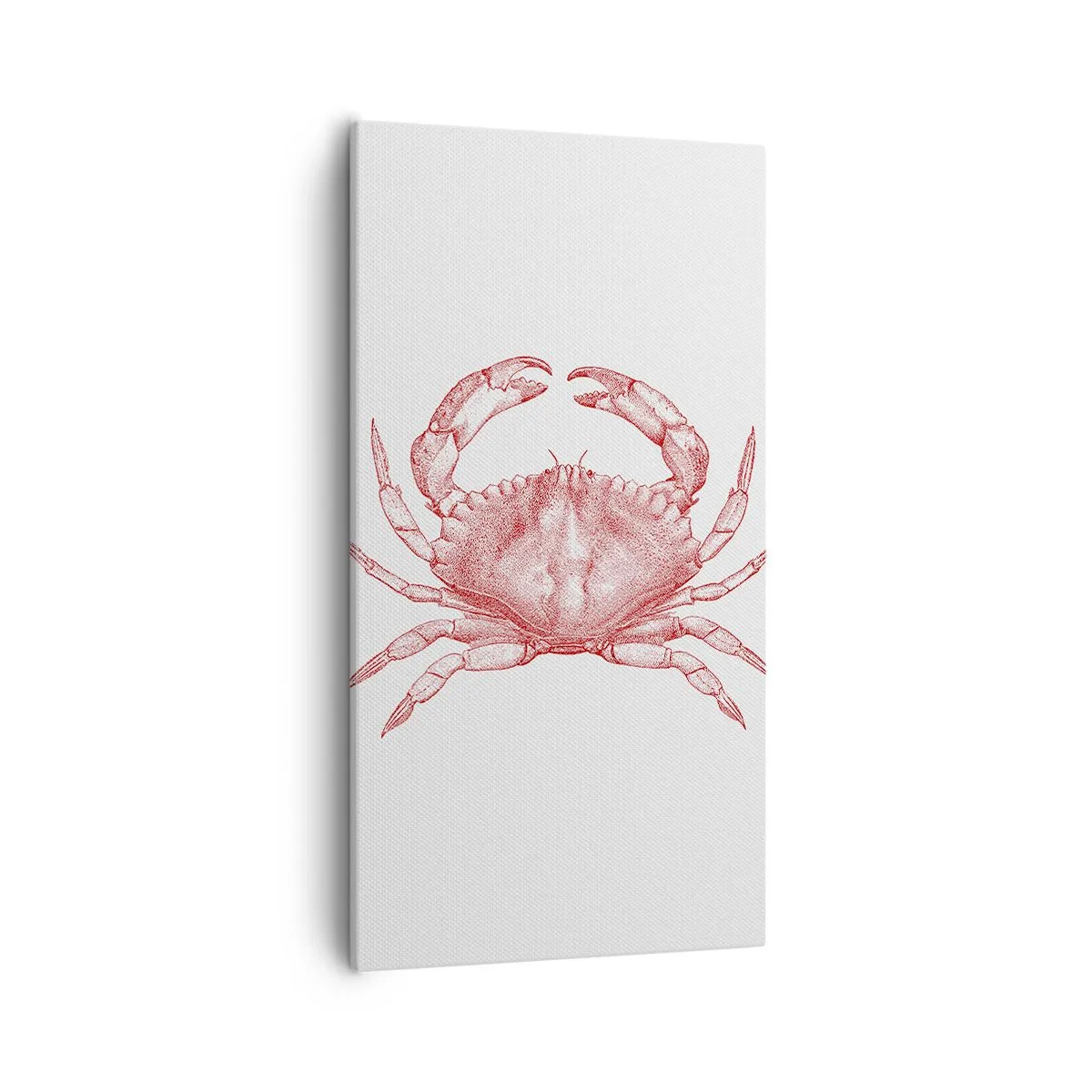 Impression sur toile - Image sur toile - Le crabe des crabes - 55x100 cm