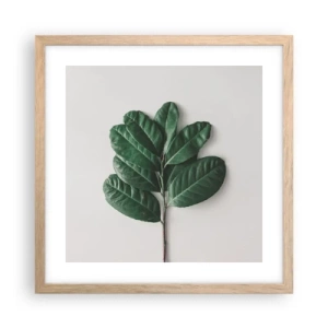 Affiche dans un chêne clair - Poster - Dessin de la nature elle-même - 40x40 cm