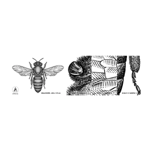 Échantillon De Papier Peint Standard Eco - Portrait d'insecte - Abeille, Insecte, Minimaliste - 100x30 cm