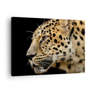 Impression sur toile - Image sur toile - Gros plan d'une tête de léopard sur fond noir - 70x50cm - Calme, concentré, prêt - Décoration murale moderne pour le salon et la chambre ARTTOR