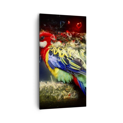 Impression sur toile - Image sur toile - Messager d'éclat - 55x100 cm