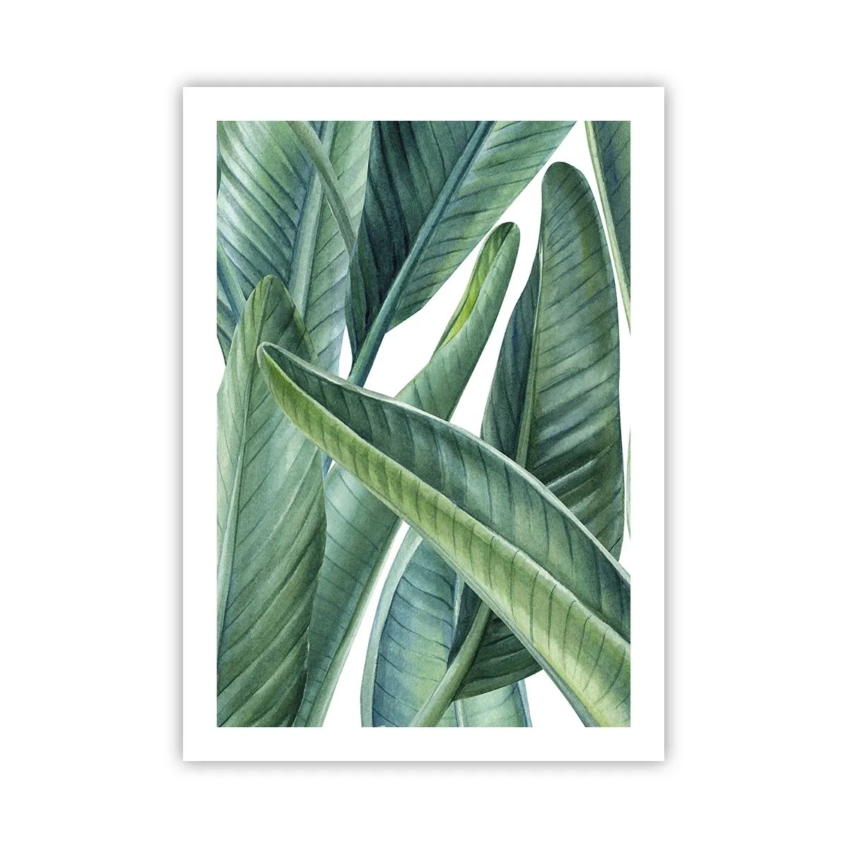Affiche - Poster - Feuilles de bananier vertes à l'aquarelle - 50x70cm - La nature face à elle-même - Décoration murale moderne pour le salon et la chambre ARTTOR