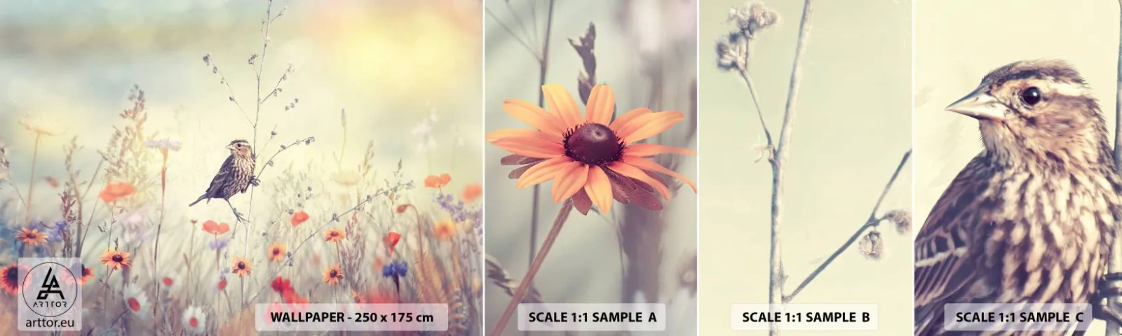 Échantillon De Papier Peint Standard Eco - Portrait d'oiseau sur pré en fond - Oiseau, Prairie, Nature - 100x30 cm