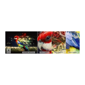 Échantillon de Papier Peint Premium Canvas - Messager d'éclat - Abstraction, Perroquet, Oiseau - 100x30 cm