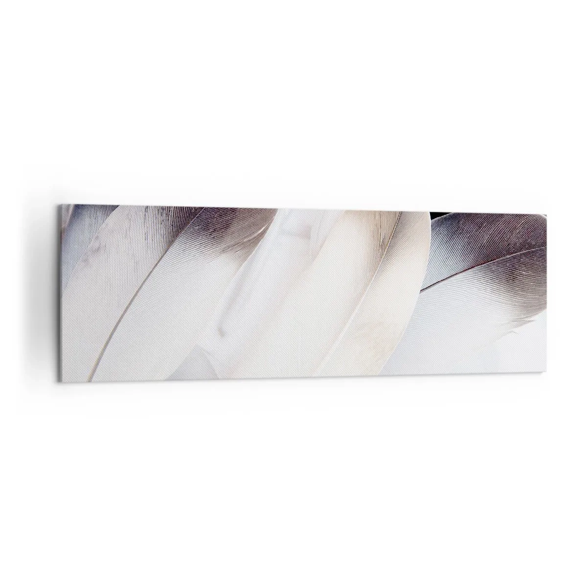 Impression sur toile - Image sur toile - Gros plan de plumes délicates dans des tons de blanc et de gris - 160x50cm - Presque angélique - Décoration murale moderne pour le salon et la chambre ARTTOR