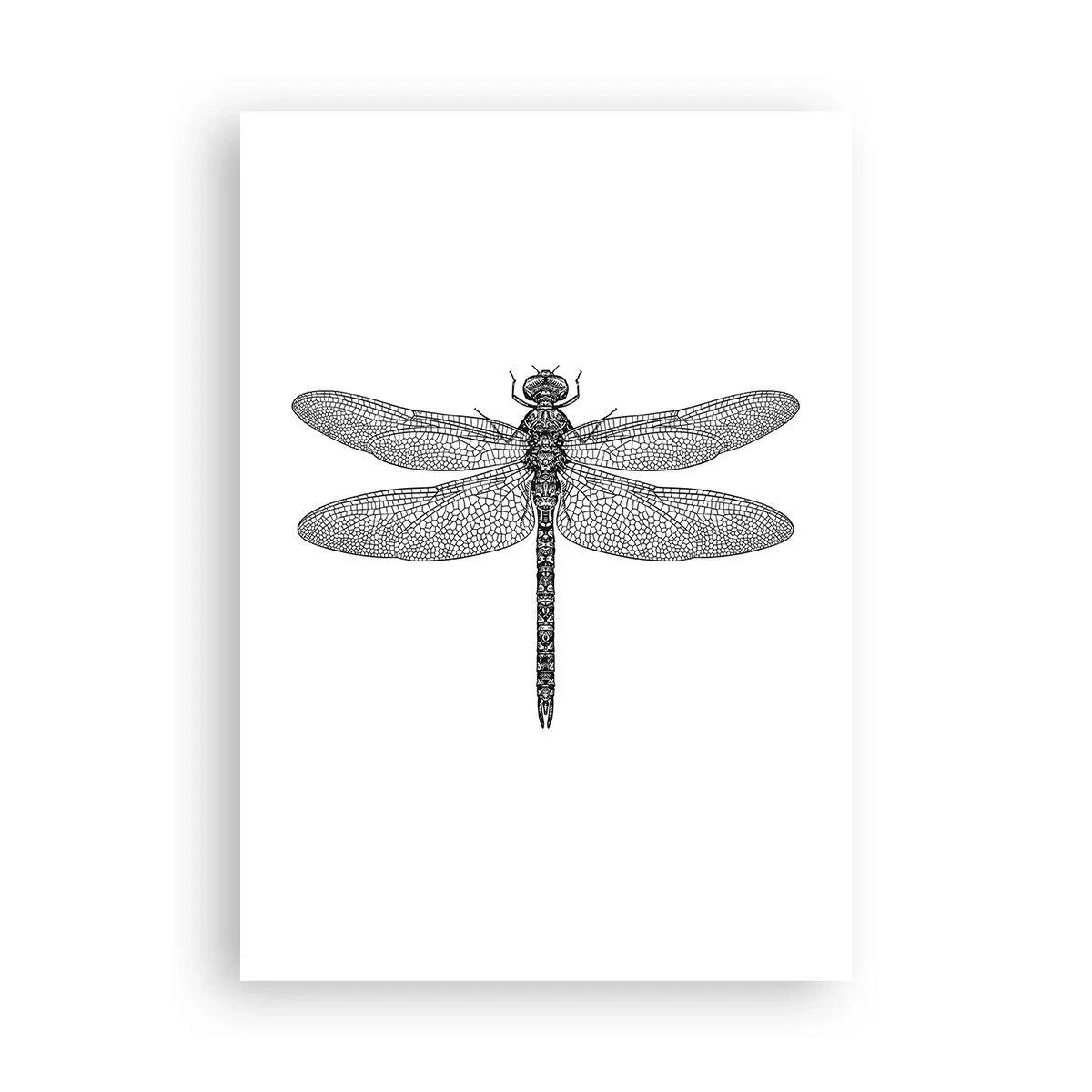 Affiche - Poster - Précision de la nature - 70x100 cm