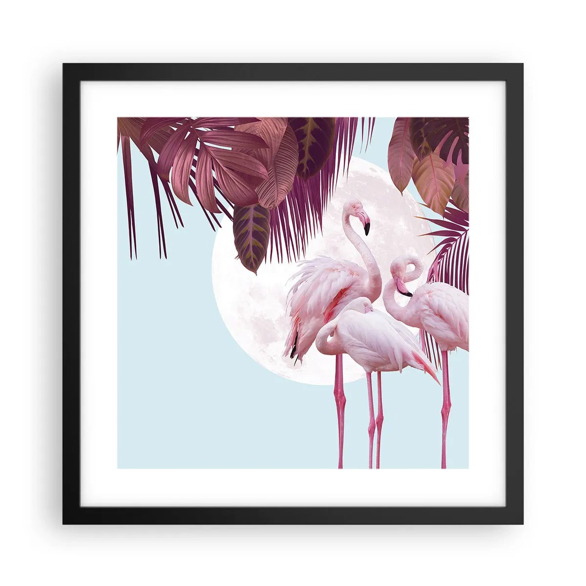 Affiche dans un cadre noir - Poster - Trois oiseaux gracieux - 40x40 cm