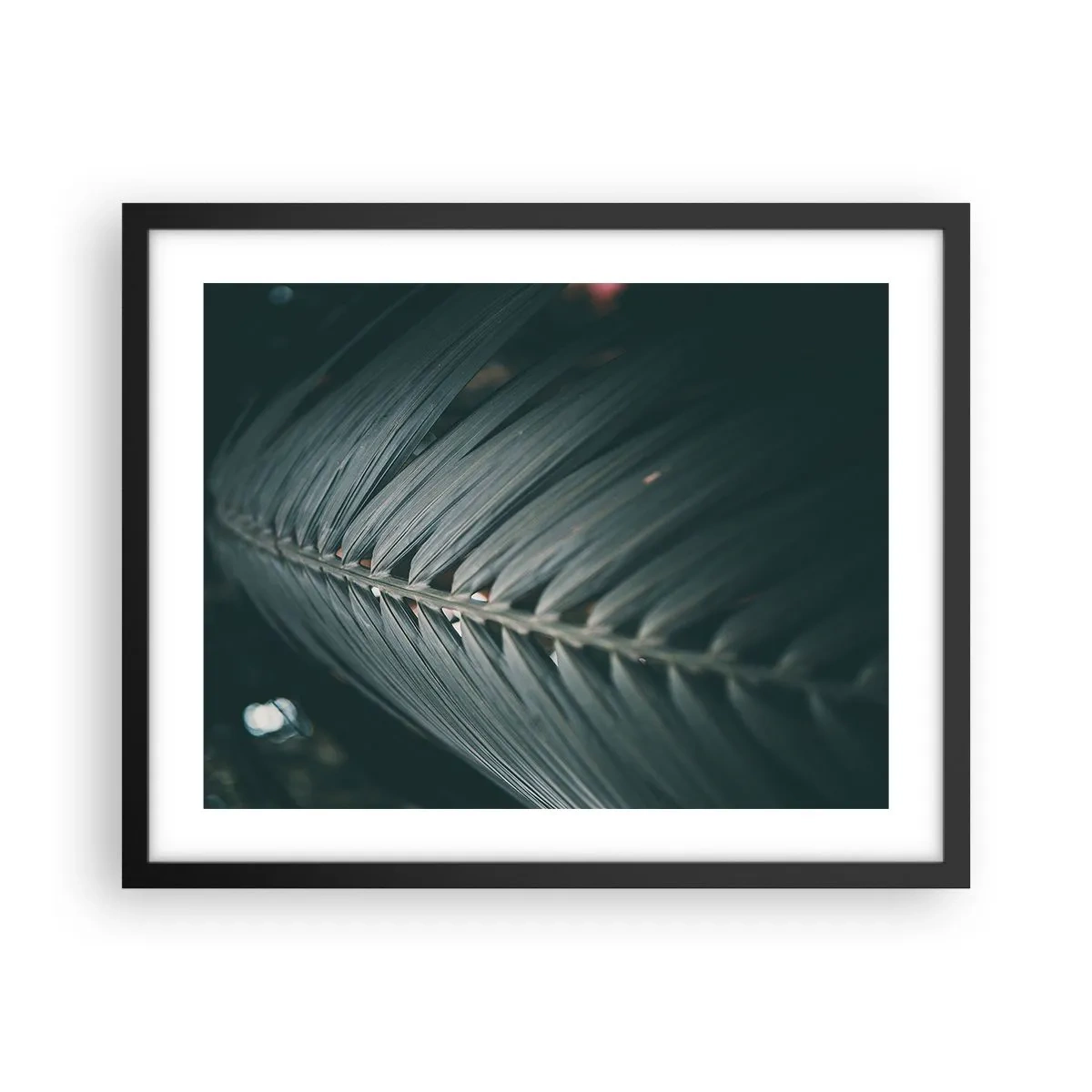 Affiche dans un cadre noir - Poster - Précision de la nature - 50x40 cm