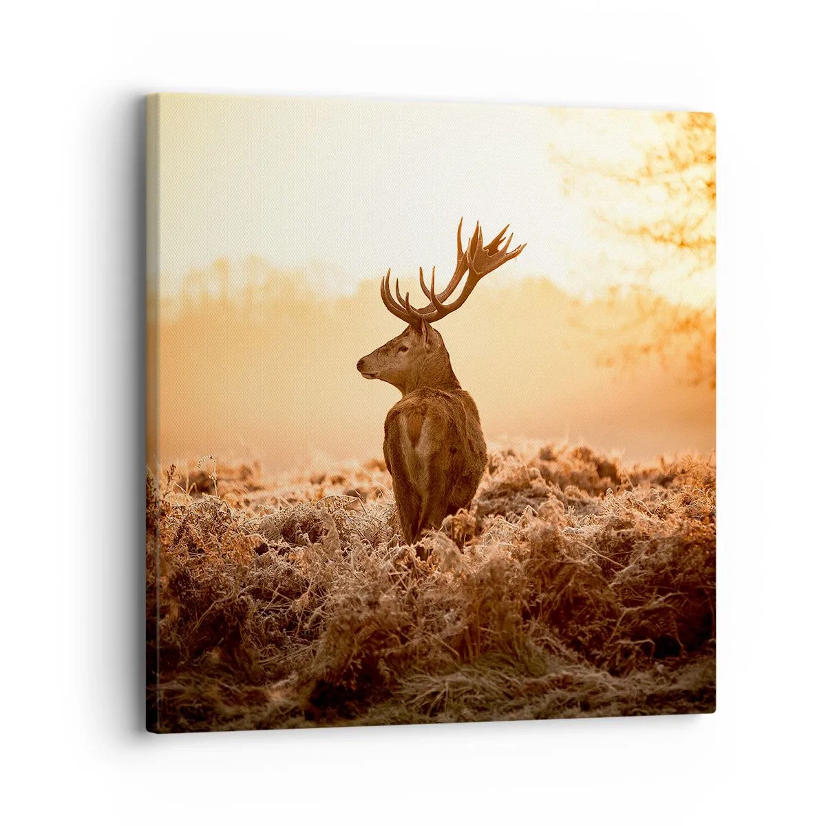 Impression sur toile - Image sur toile - Seigneur du domaine - 30x30 cm