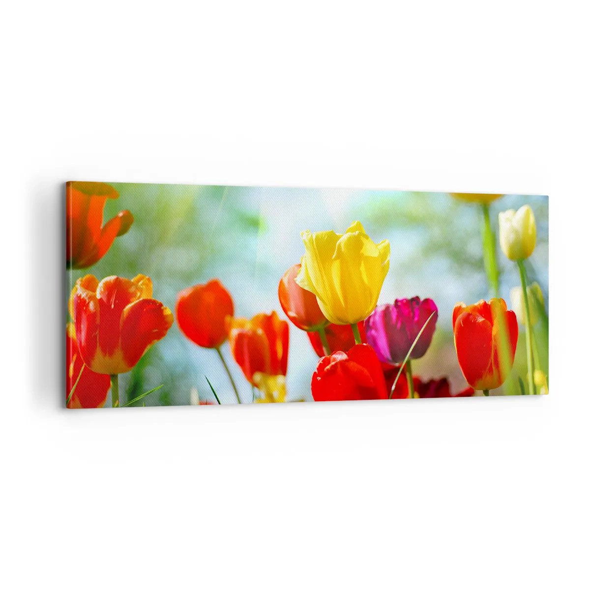 Impression sur toile - Image sur toile - Toutes les couleurs du soleil - 100x40 cm
