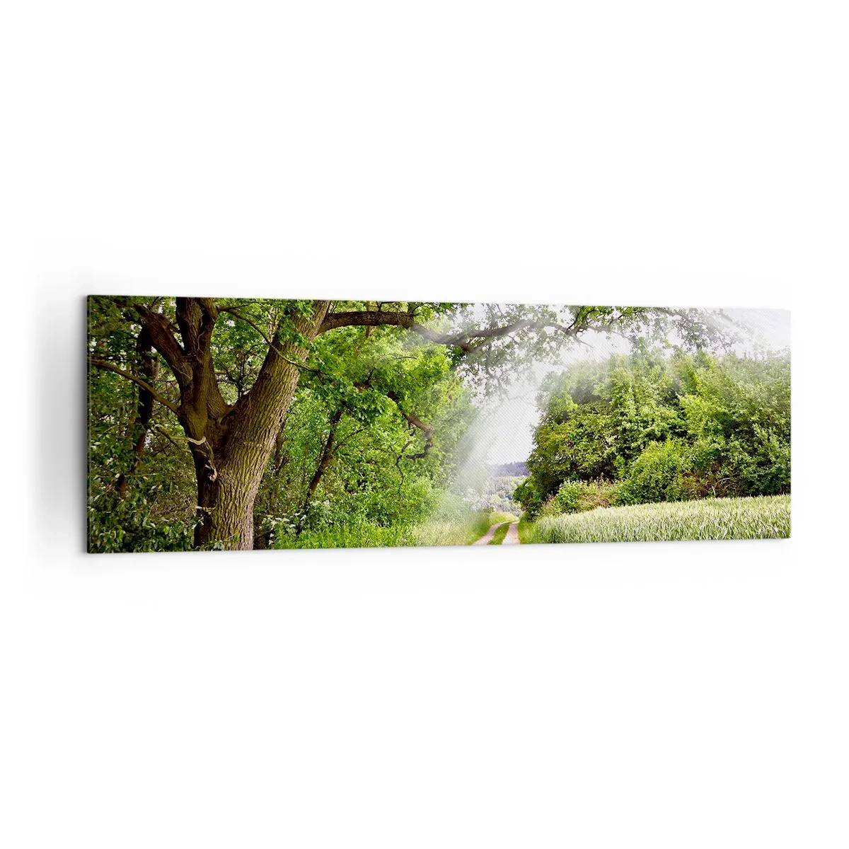 Impression sur toile - Image sur toile - Un chemin de terre parmi les arbres verts et la lumière du soleil - 160x50cm - Et in Arcadia ego - Décoration murale moderne pour le salon et la chambre ARTTOR