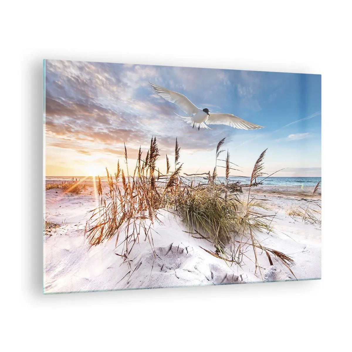 Impression sur verre - Image sur verre - Vent de mer - 70x50 cm