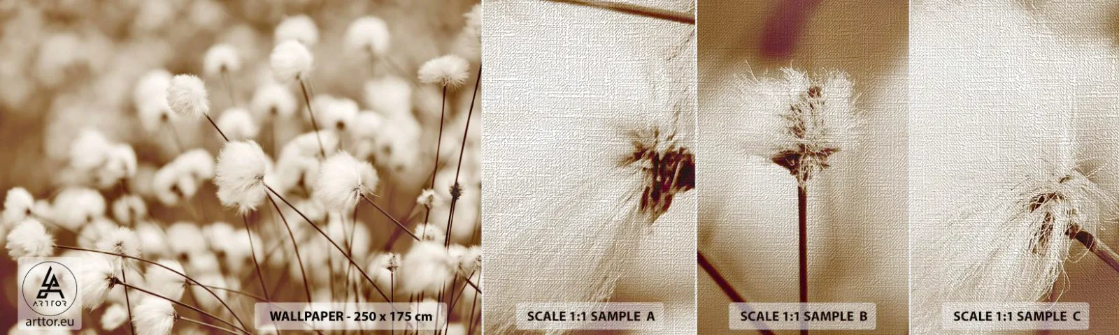 Échantillon de Papier Peint Premium Canvas - Tige moelleuse - Fleur de coton, Fleur, Brindille de coton - 100x30 cm