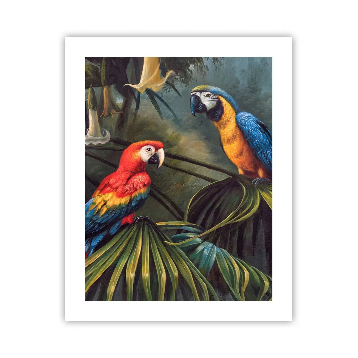 Affiche - Poster - Romantisme dans les tropiques - 40x50 cm