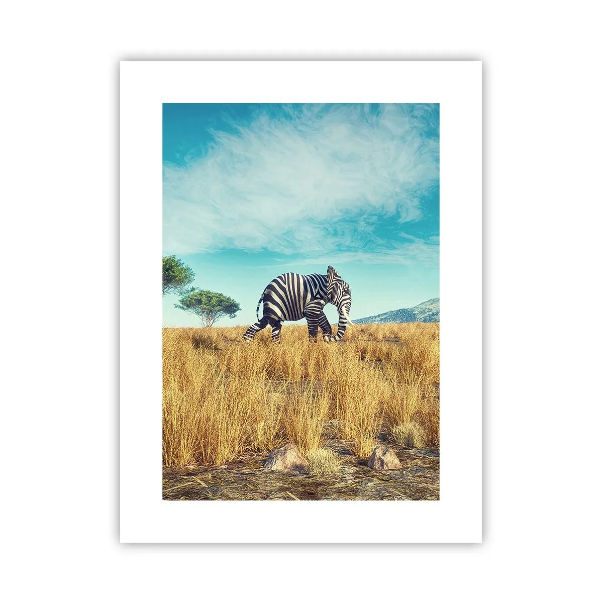 Affiche - Poster - Le gris n'est déjà plus à la mode - 30x40 cm