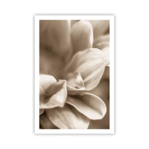 Affiche - Poster - Doux comme un sourire - 61x91 cm