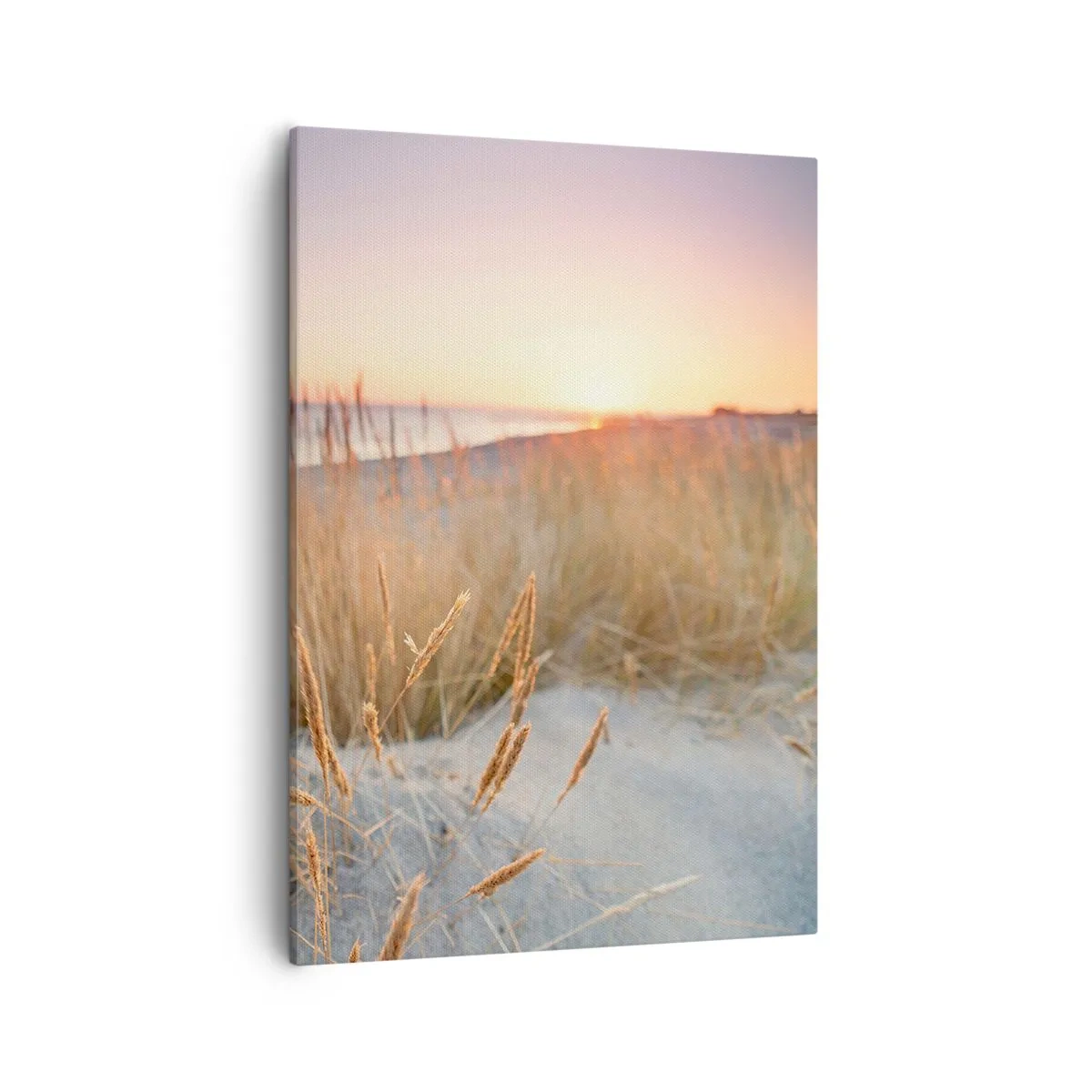 Impression sur toile - Image sur toile - Plage au coucher du soleil avec de hautes herbes - 50x70cm - Berceuse baltique - Décoration murale moderne pour le salon et la chambre ARTTOR