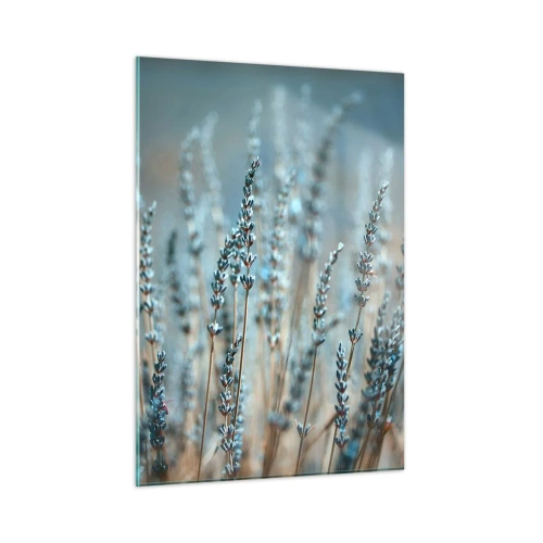 Impression sur verre - Image sur verre - Un champ de lavande dans une lumière douce et fraîche - 50x70cm - Tige odorante - Décoration murale moderne pour le salon et la chambre ARTTOR