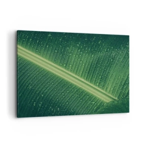 Impression sur toile - Image sur toile - Une feuille verte avec des gouttes d'eau à sa surface - 100x70cm - Structure de vert - Décoration murale moderne pour le salon et la chambre ARTTOR