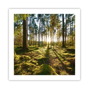 Affiche - Poster - … Derrière les sept forêts - 50x50 cm