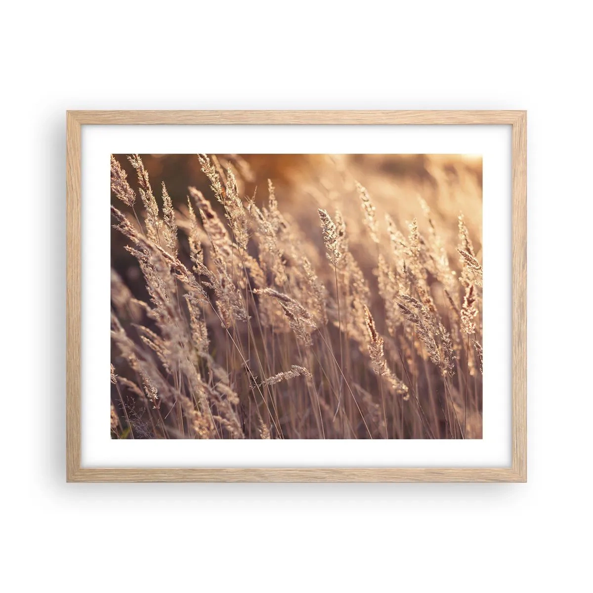 Affiche dans un chêne clair - Poster - Prêt à accueillir l'automne - 50x40 cm