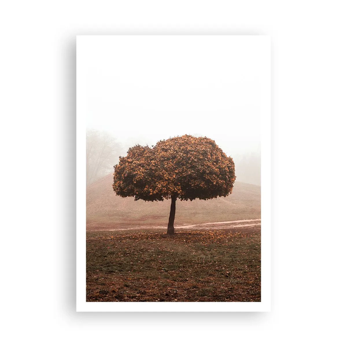 Affiche - Poster - Après un été chargé - 70x100 cm