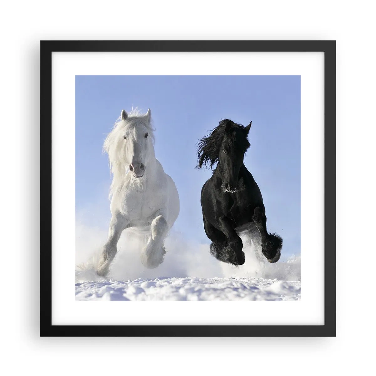 Affiche dans un cadre noir - Poster - Galop noir et blanc - 40x40 cm