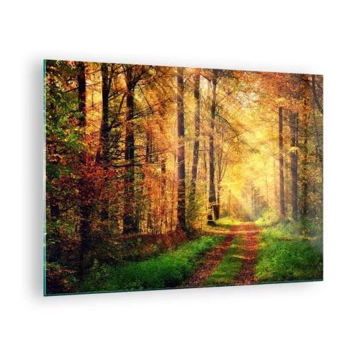 Impression sur verre - Image sur verre - Chemin d'automne dans la forêt avec les rayons du soleil - 70x50cm - Silence d'or en forêt - Décoration murale moderne pour le salon et la chambre ARTTOR